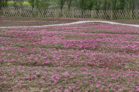 ffd6032082ae0beffa2c8ecd5b0a1b8